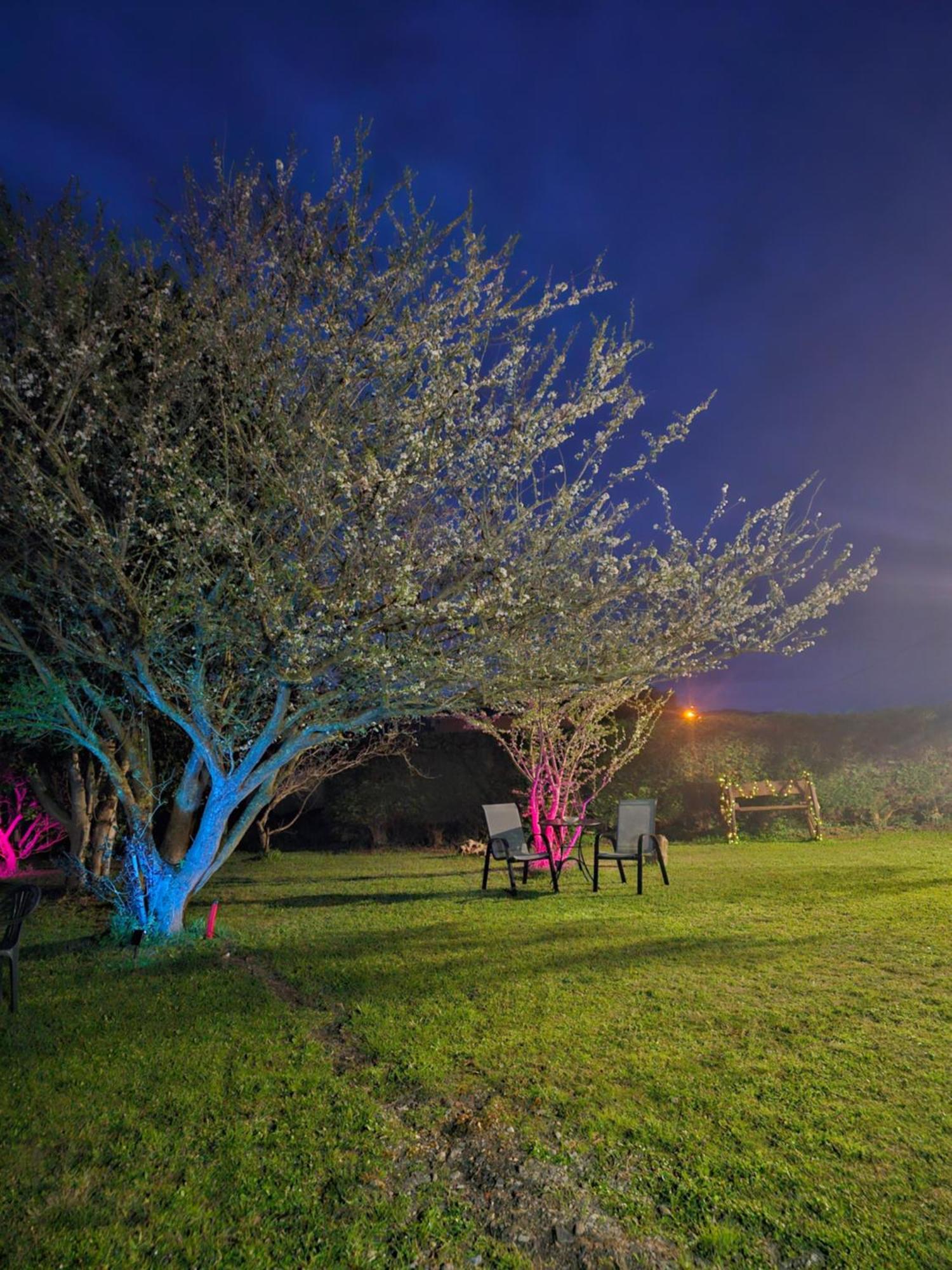 Apartamentos Castello Cartavio ภายนอก รูปภาพ